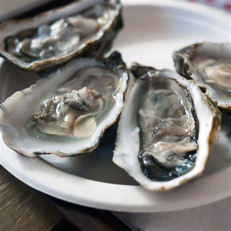 Oyster Market Price
